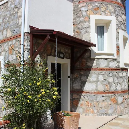 Fiesta No 2 *