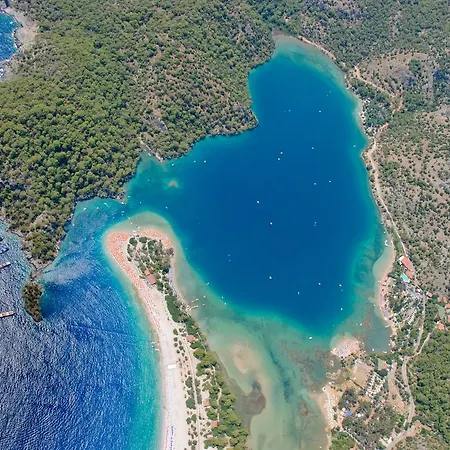 Fiesta No 2 Ολουντενίζ